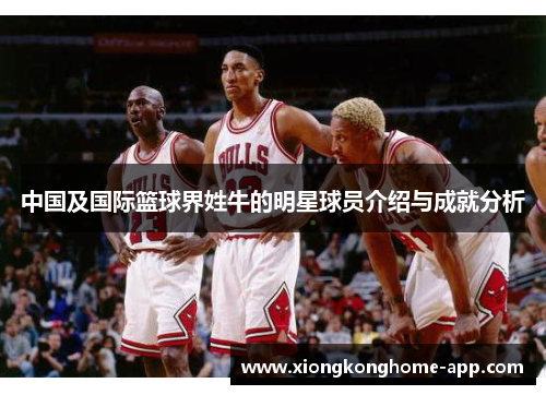 中国及国际篮球界姓牛的明星球员介绍与成就分析