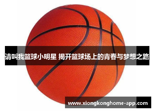 请叫我篮球小明星 揭开篮球场上的青春与梦想之路